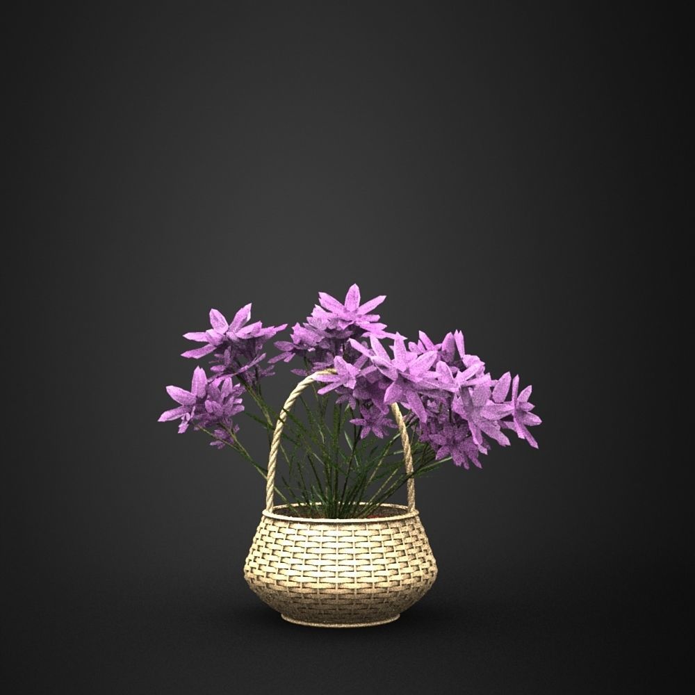 Flower basket model in Lightwave 3D 3D model_1