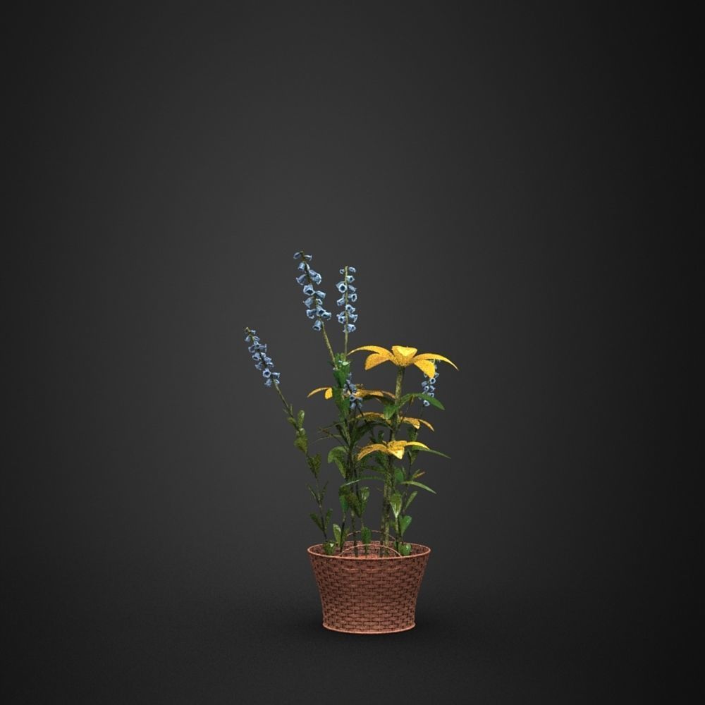 Flower basket model in Lightwave 3D 3D model_3