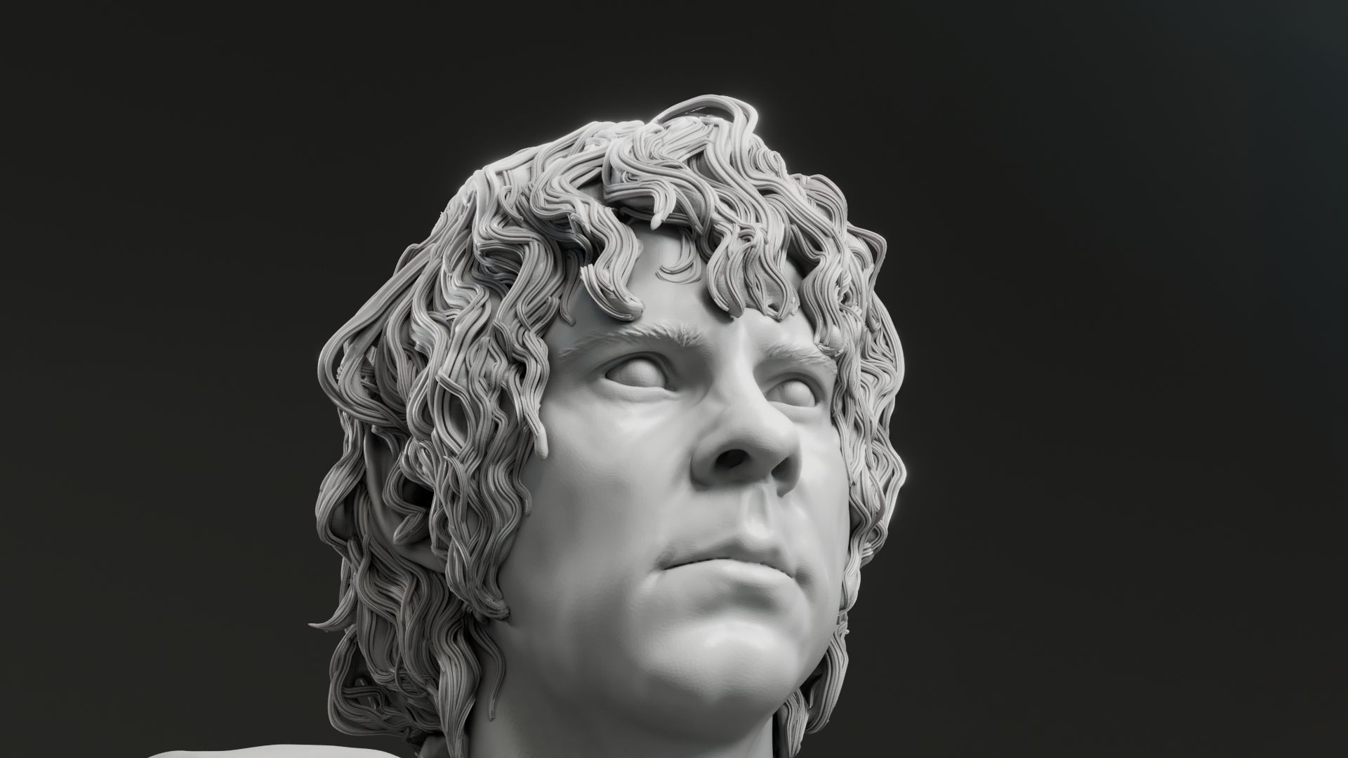 Dominic Monaghan - Merry - The Lord Of The Rings 3D print model_20