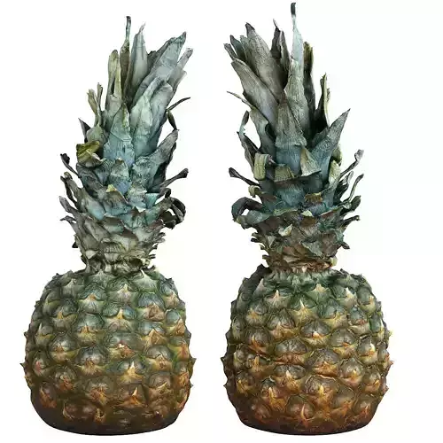 Pineapple pair of pineapples