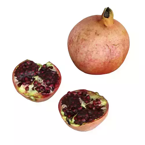 Garnet two pomegranates 3D model