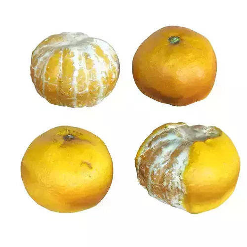 Mandarin four rotten oranges