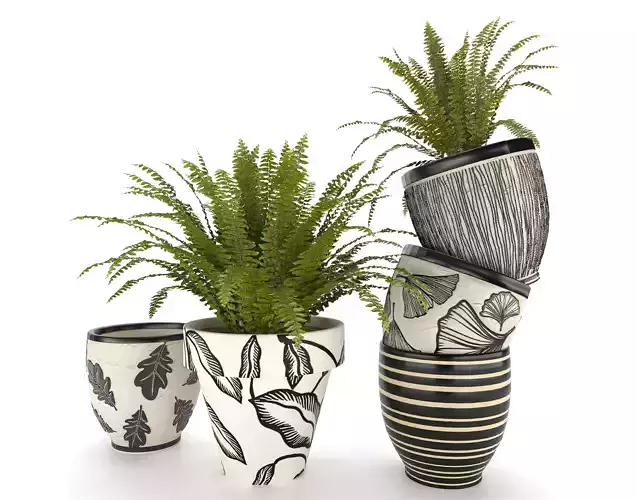 indoor plant - fern in vase 01