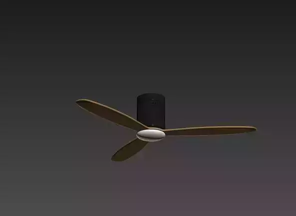 Ceiling fans
