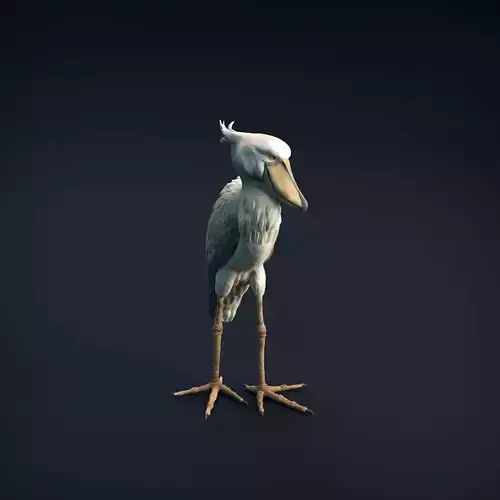 Shoebill for 3D Printing
