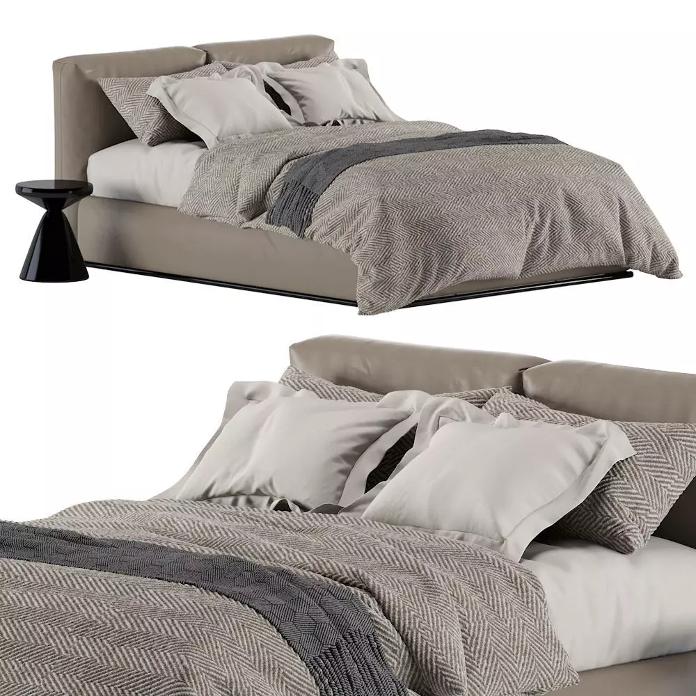 Asolo Leather Bed By Flexform 3D model_0