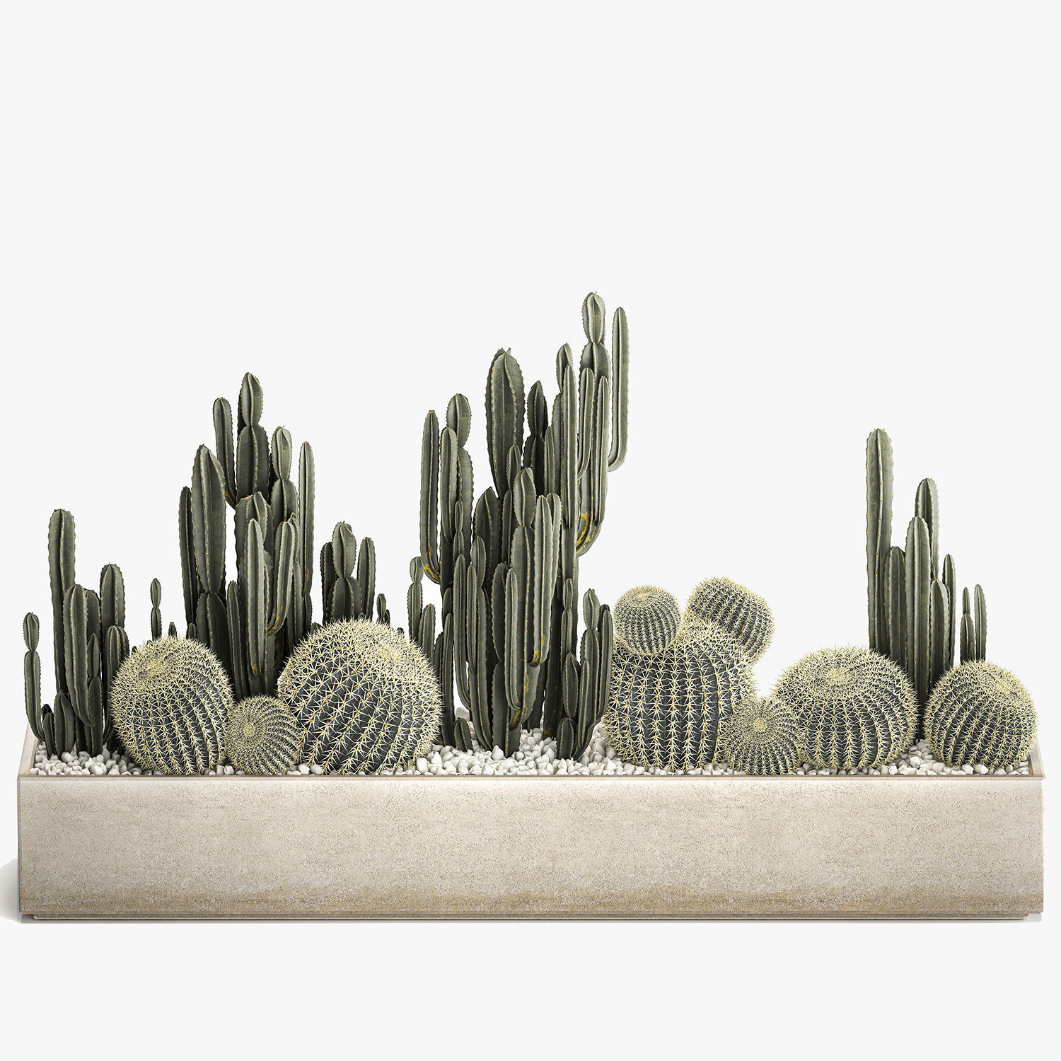 Cactus set in a concrete flowerpot for the interior 1097 3D model_3