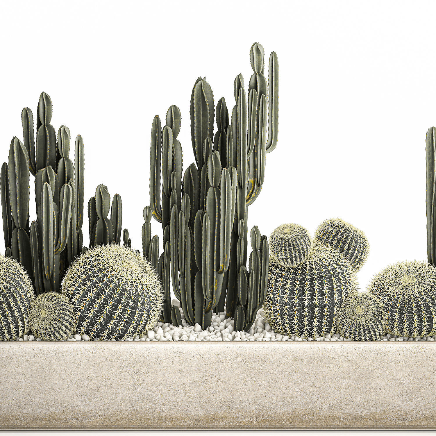 Cactus set in a concrete flowerpot for the interior 1097 3D model_4