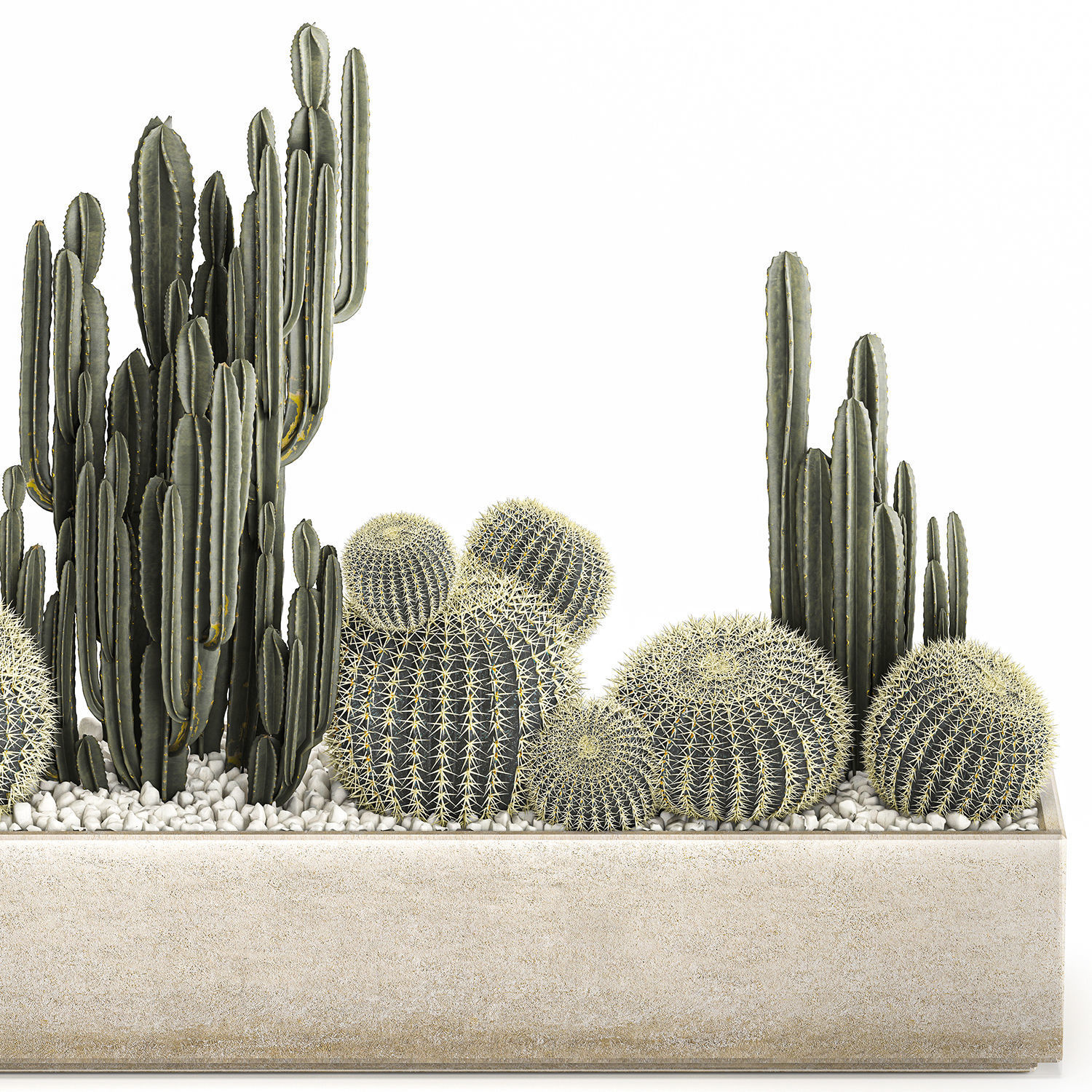 Cactus set in a concrete flowerpot for the interior 1097 3D model_5
