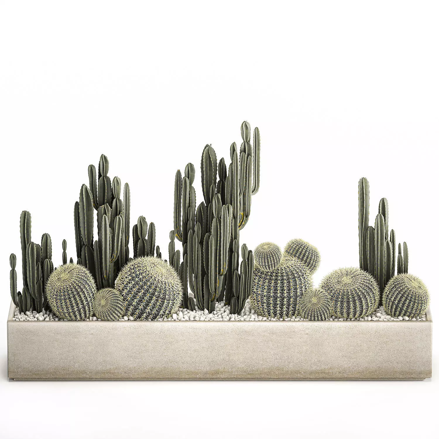 Cactus set in a concrete flowerpot for the interior 1097 3D model_0