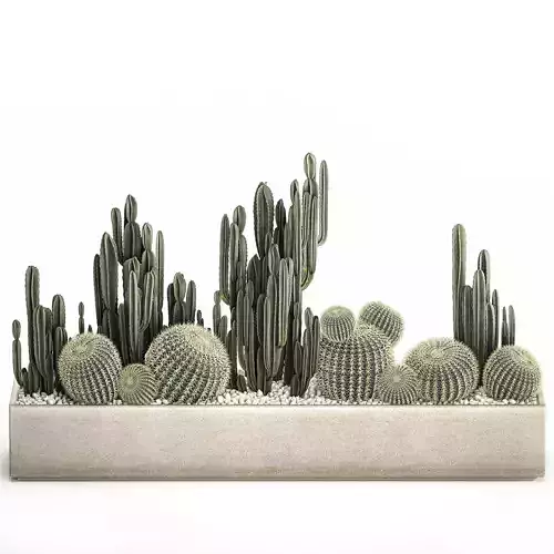 Cactus set in a concrete flowerpot for the interior 1097 3D model