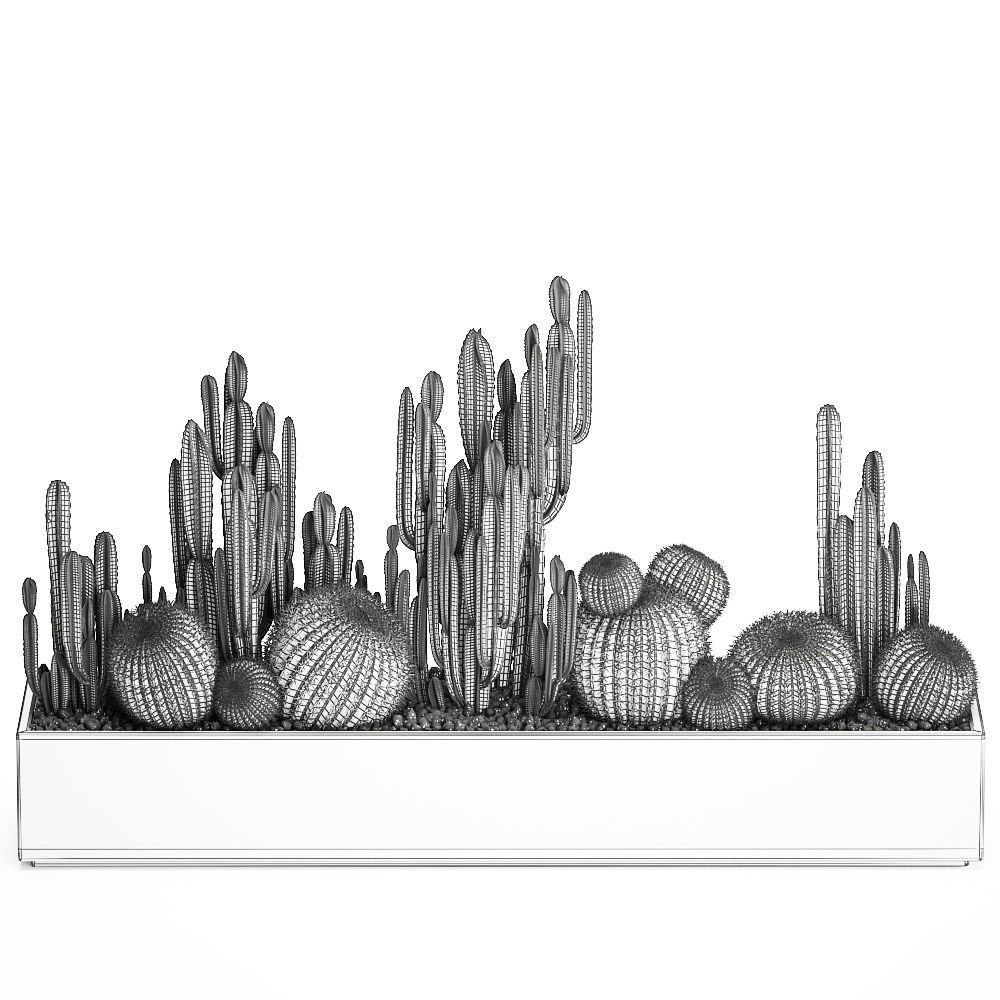 Cactus set in a concrete flowerpot for the interior 1097 3D model_8