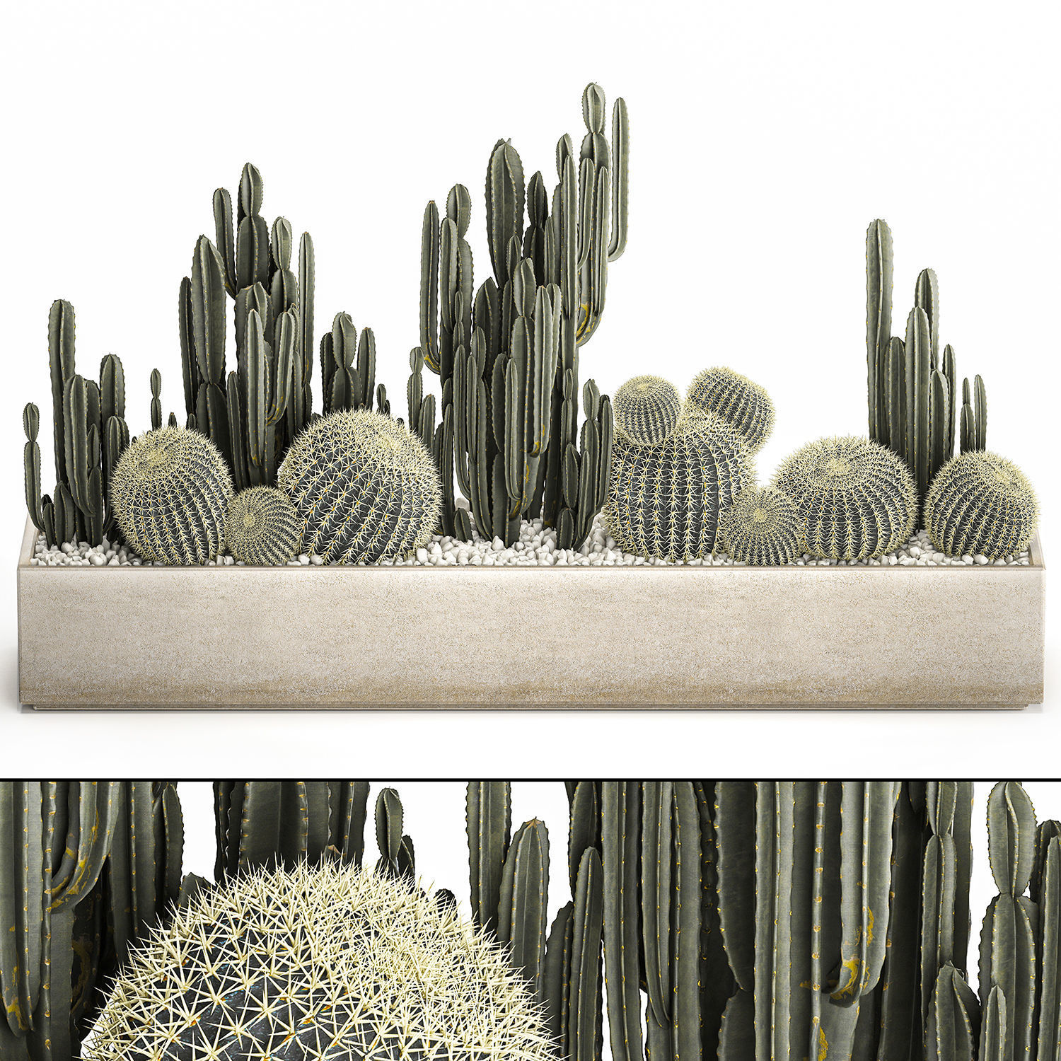 Cactus set in a concrete flowerpot for the interior 1097 3D model_1