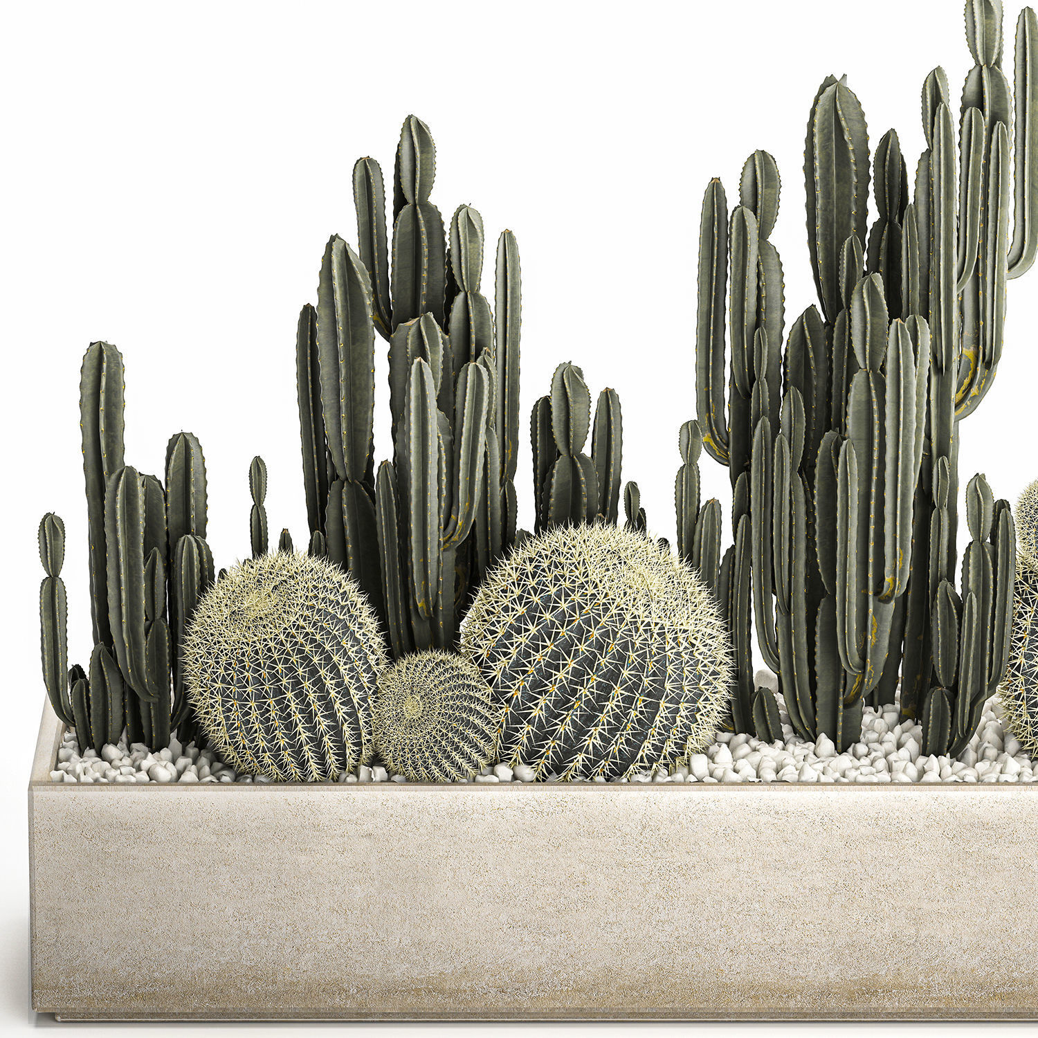 Cactus set in a concrete flowerpot for the interior 1097 3D model_2
