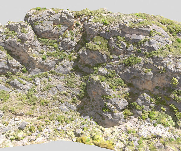 Huge Mountain Side Photoscan PBR Low-poly 3D model