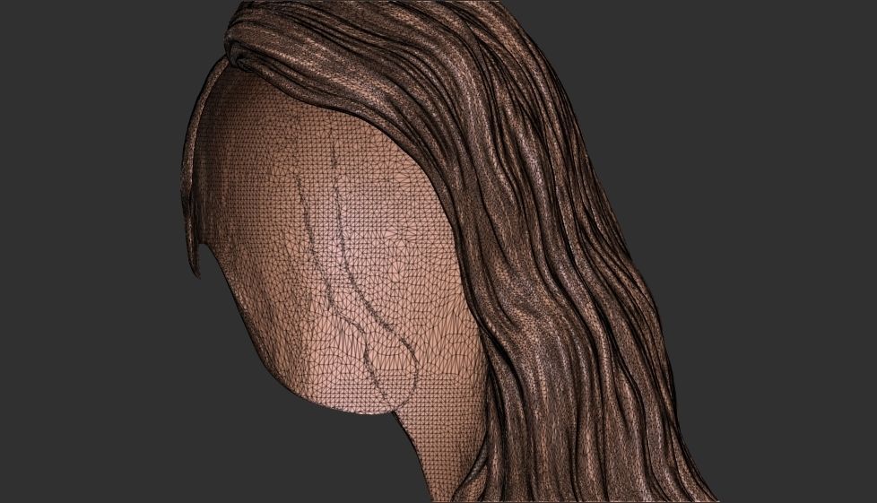 hair 22 3D print model_20