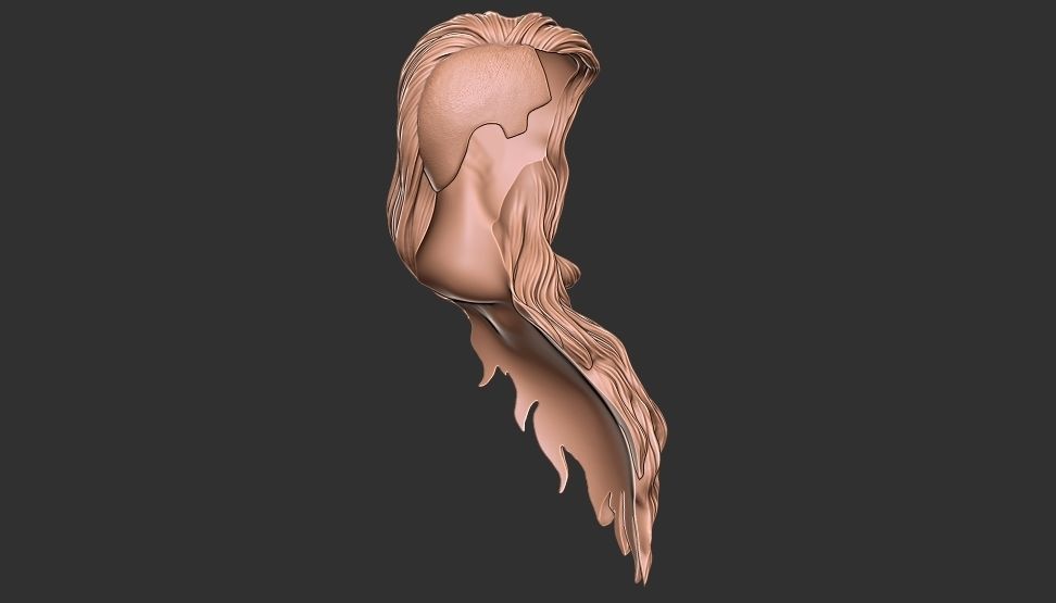 hair 22 3D print model_15