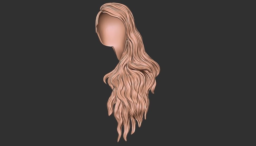hair 22 3D print model_1