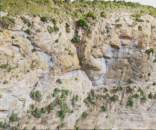 Mountain Cliff Side Bush Photoscan PBR Low-poly 3D model