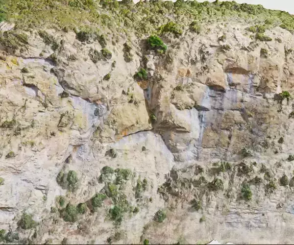 Mountain Cliff Side Bush Photoscan PBR Low-poly 3D model