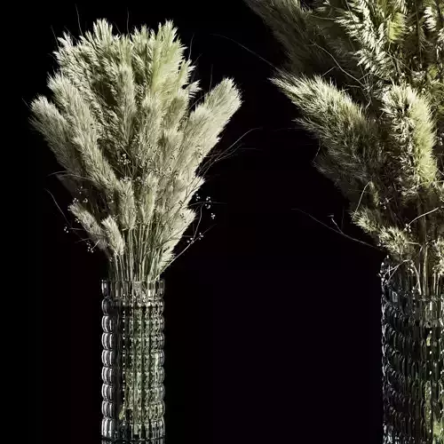 Dry Plants pampas Bouquet Indoor glass vase