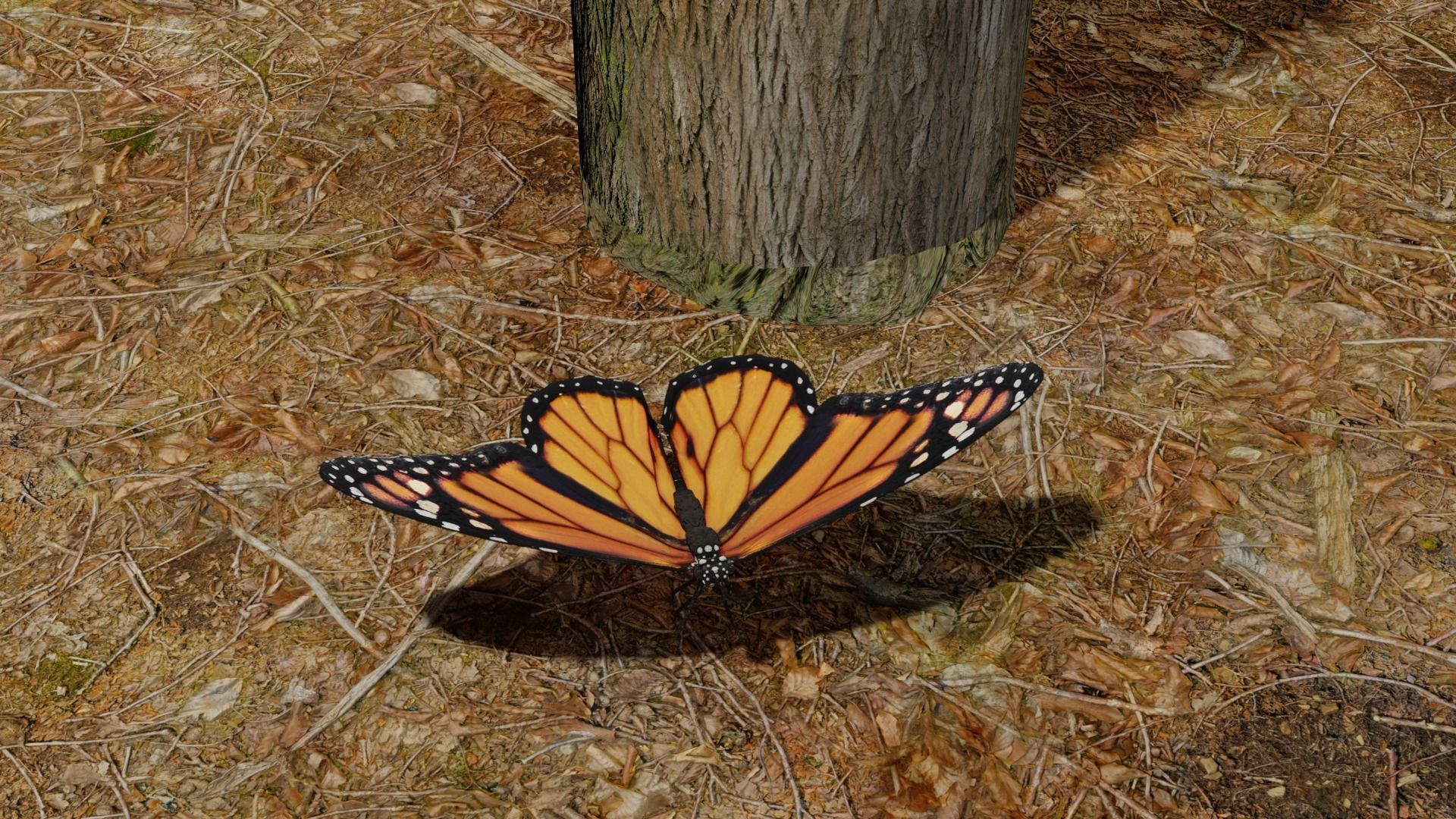 Butterfly clock 3D model_3