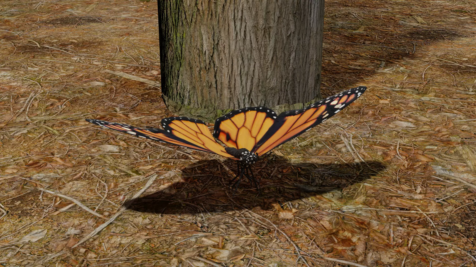 Butterfly clock 3D model_0