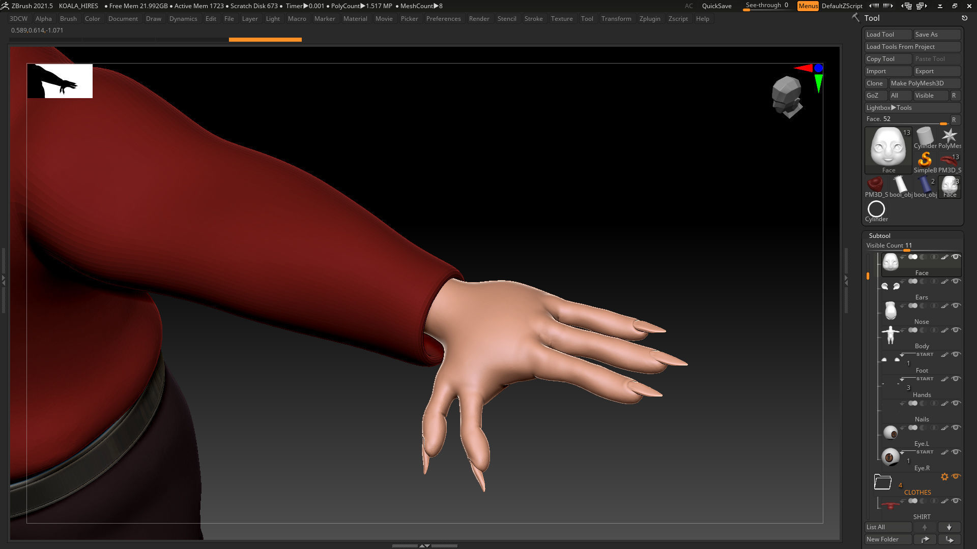 Koala Basemesh - Created in ZBrush 2021 3D model_3