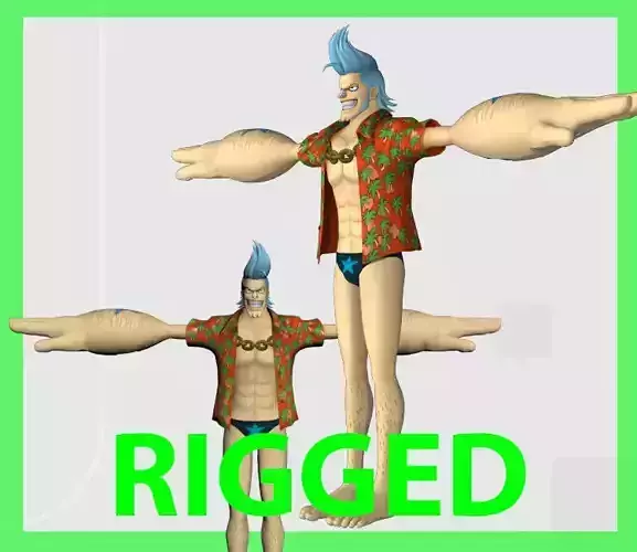Franky one piece character rigged