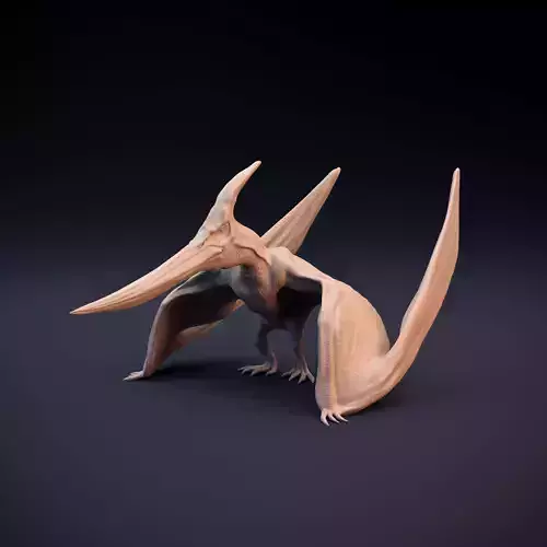 Pteranodon intended for 3D printing - pre supported 3D print model