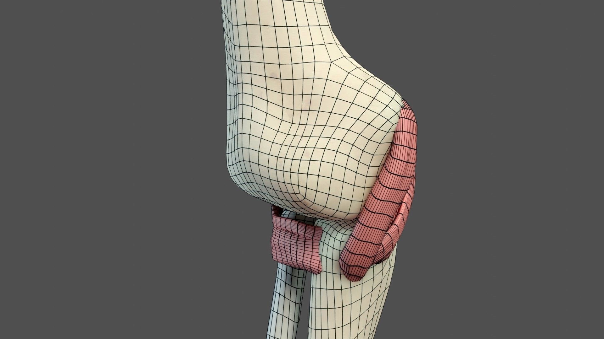 Elbow Ligaments 3D model_19