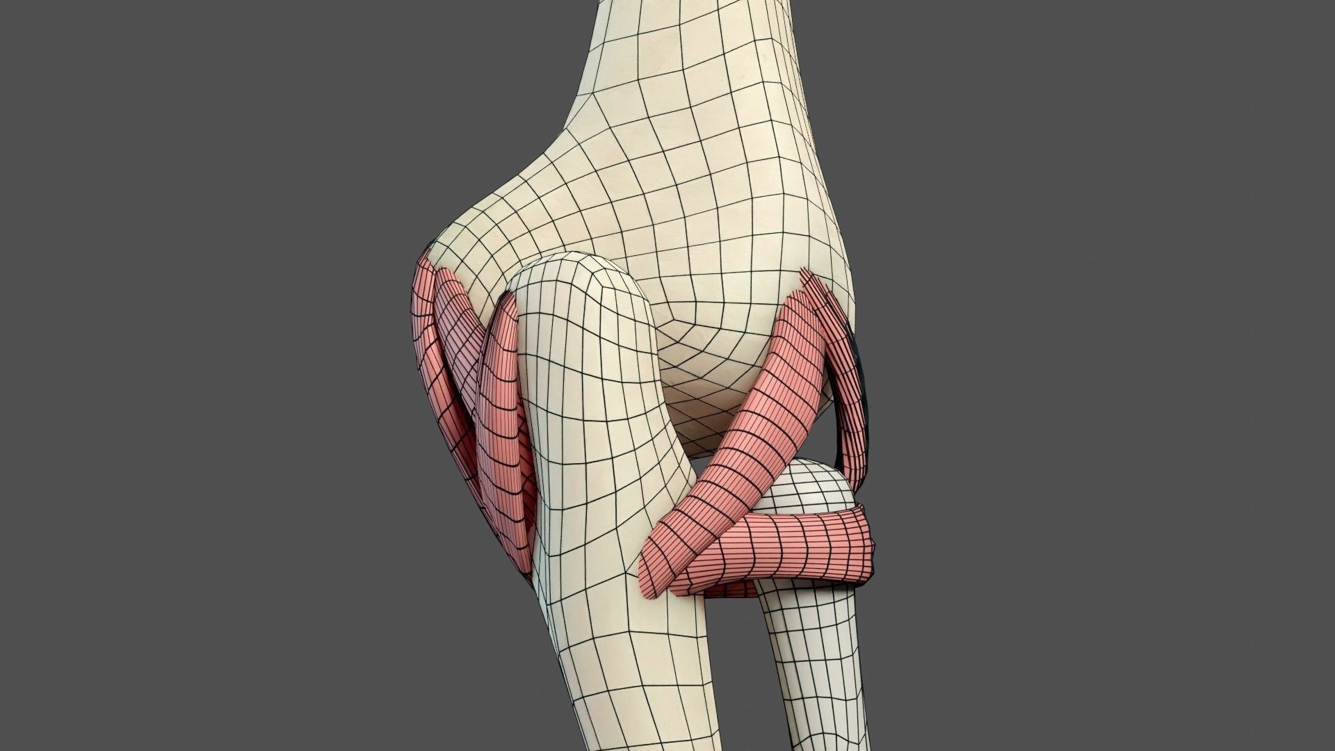 Elbow Ligaments 3D model_15