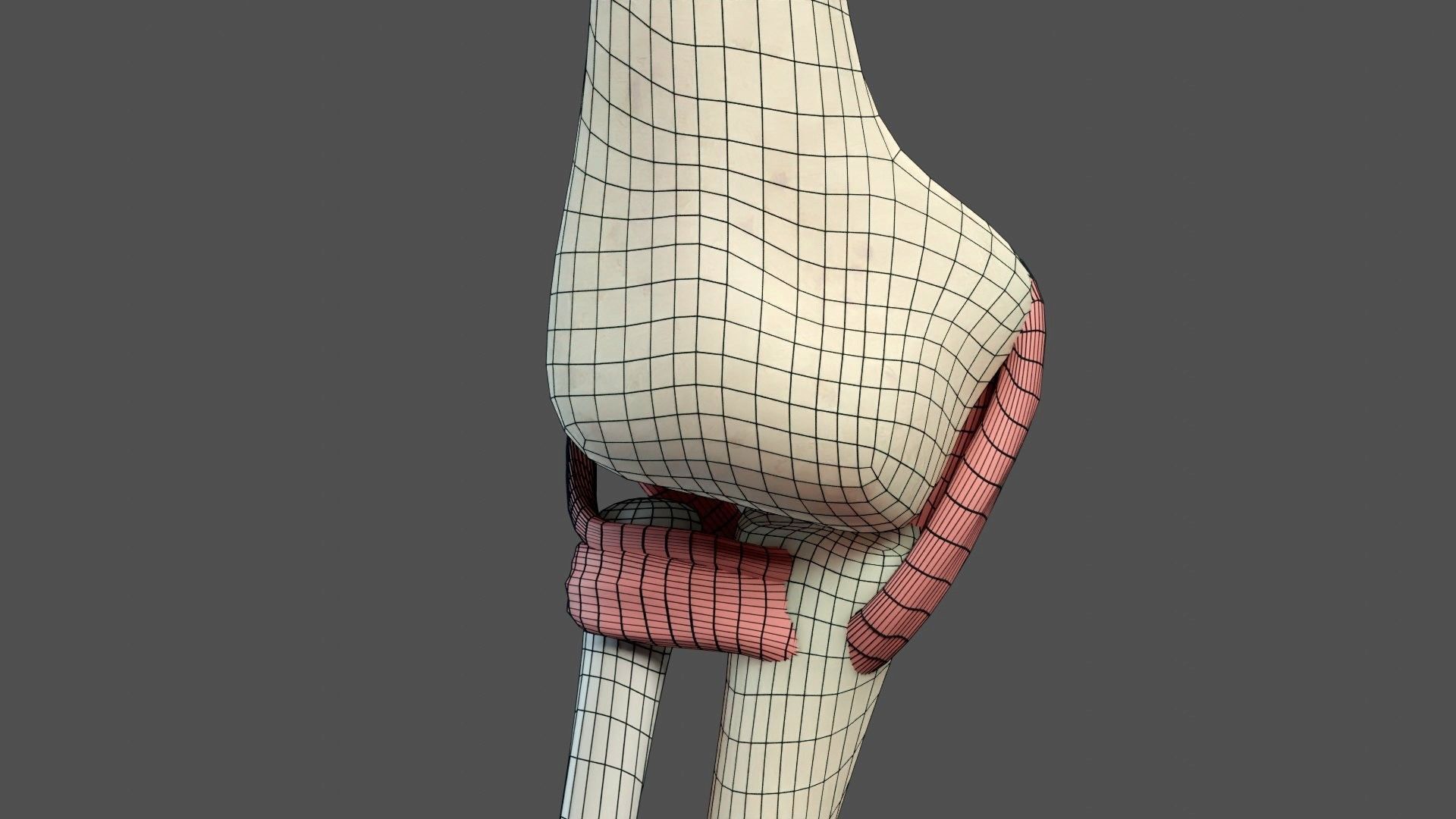 Elbow Ligaments 3D model_20