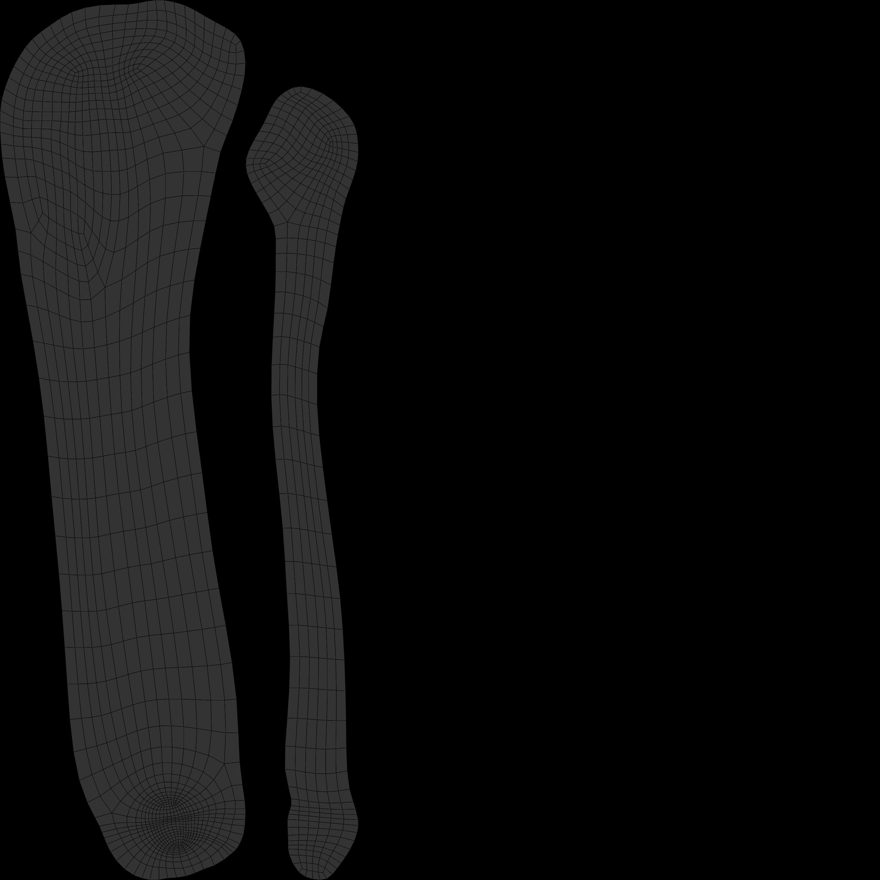 Elbow Ligaments 3D model_24
