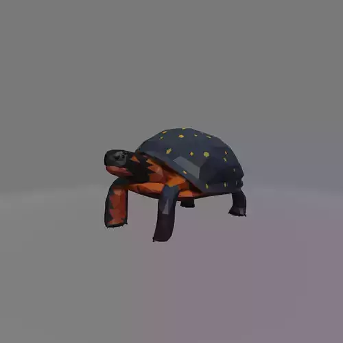 tortoise star turtle Low-poly 3D model