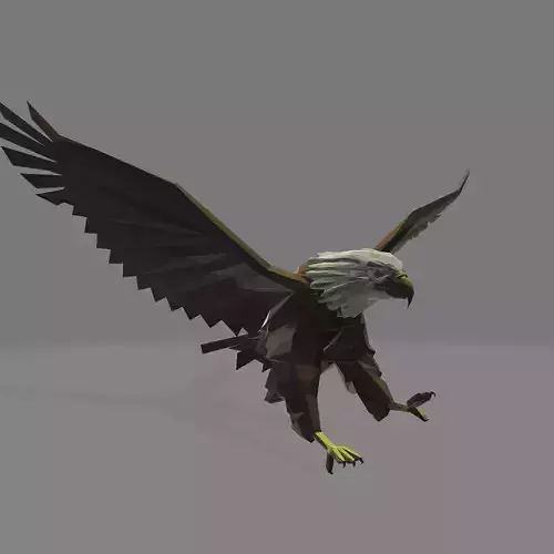 eagle Low-poly 3D model