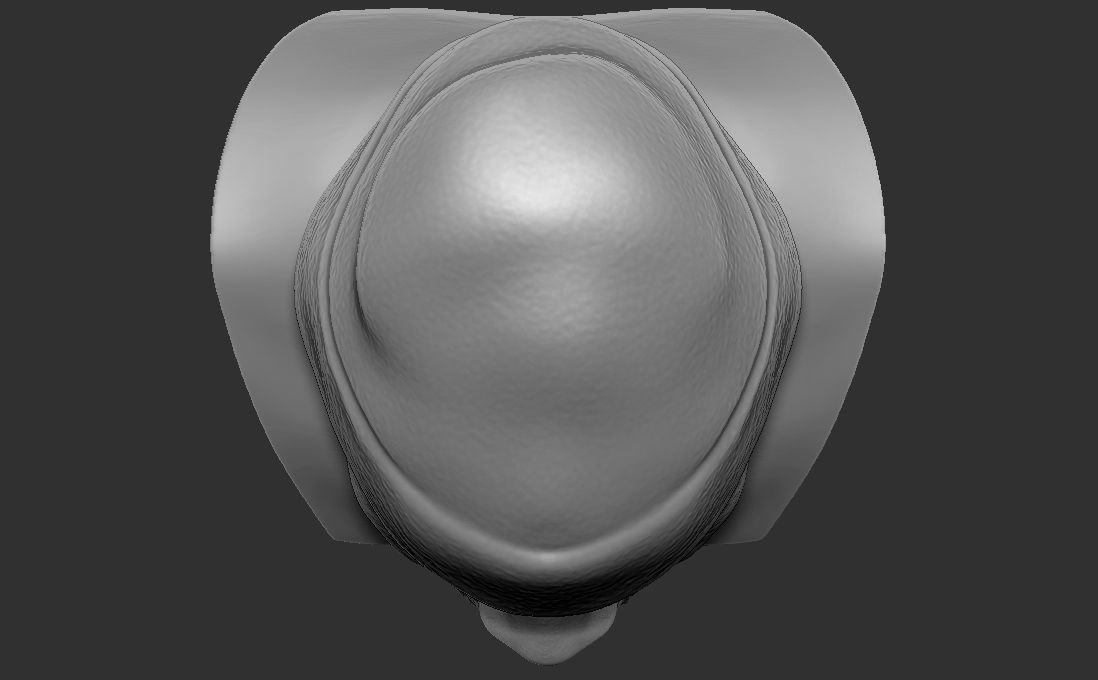 Ghostface Killah bust for 3D printing 3D print model_31