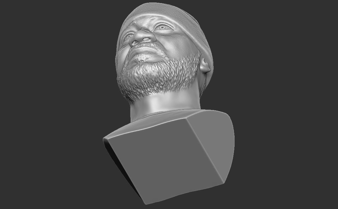 Ghostface Killah bust for 3D printing 3D print model_28