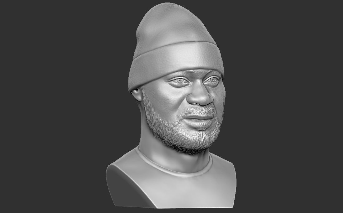 Ghostface Killah bust for 3D printing 3D print model_16