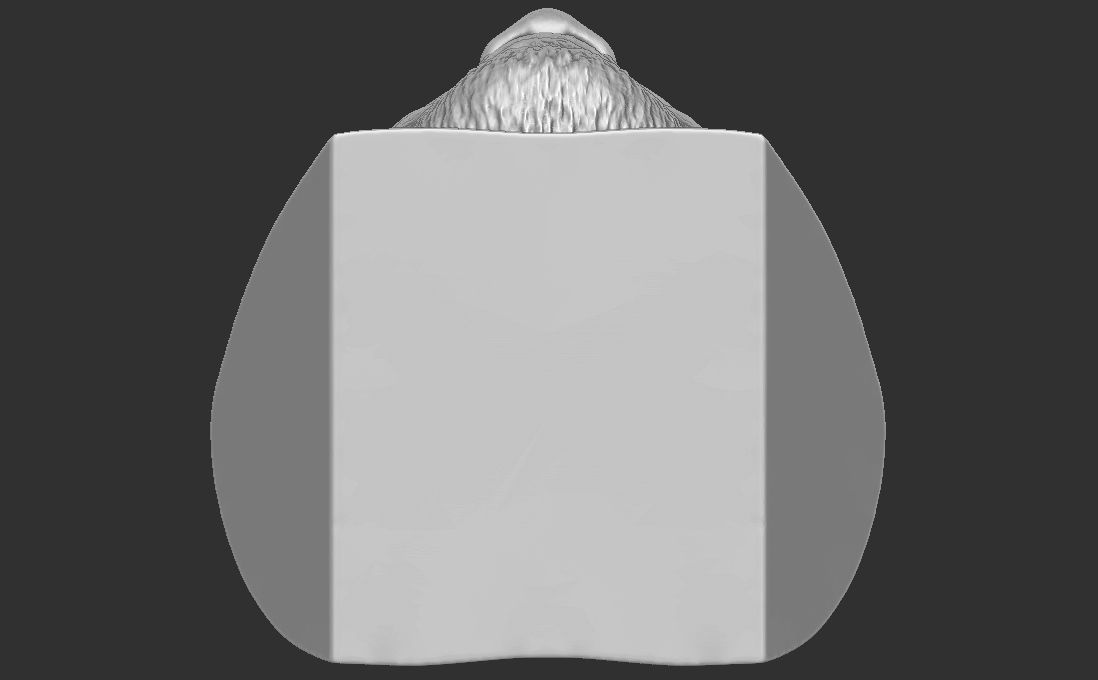 Ghostface Killah bust for 3D printing 3D print model_30