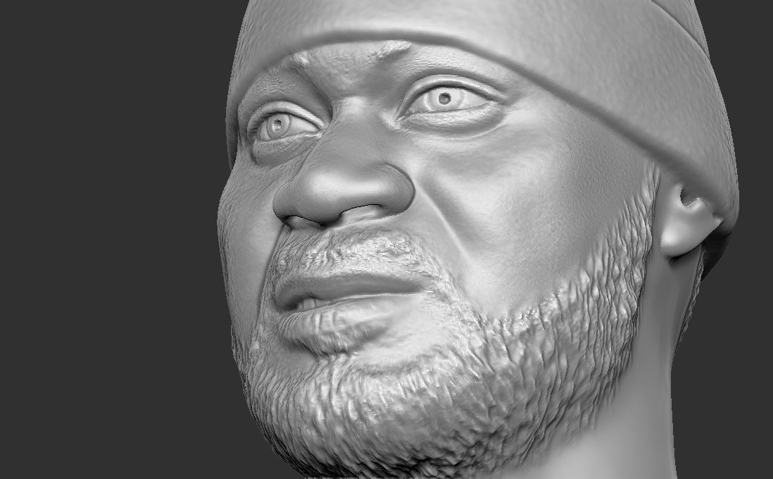 Ghostface Killah bust for 3D printing 3D print model_23
