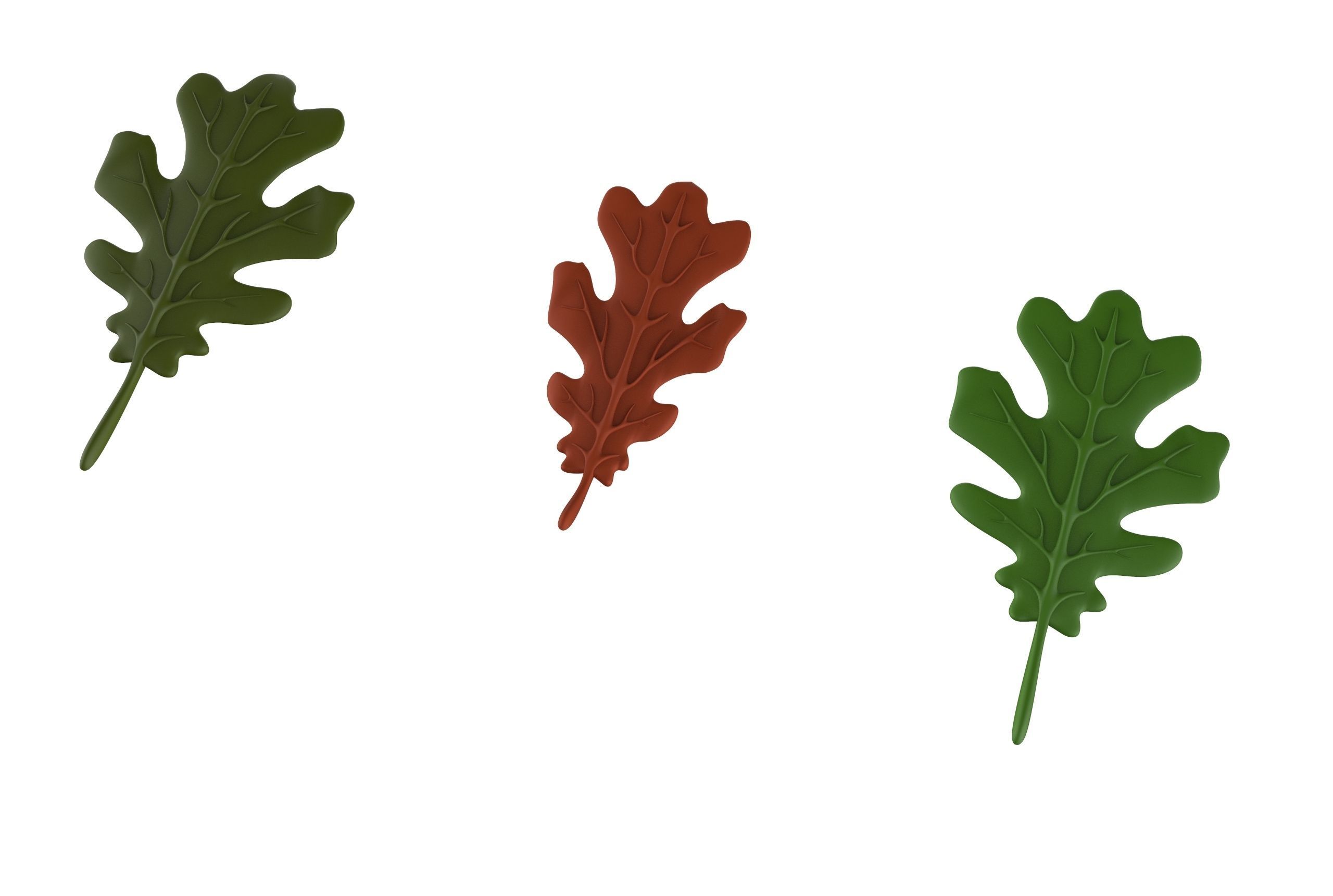 oak leaf 3D model_18