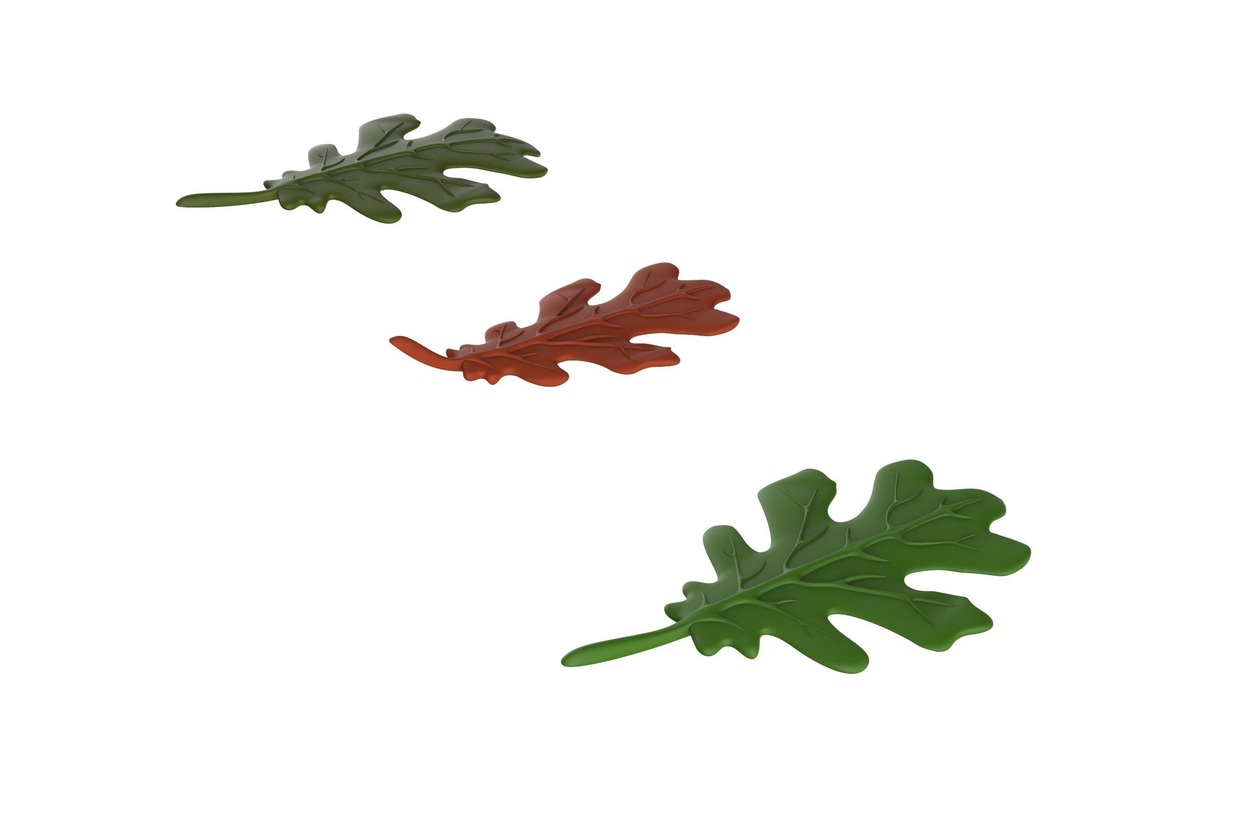 oak leaf 3D model_16