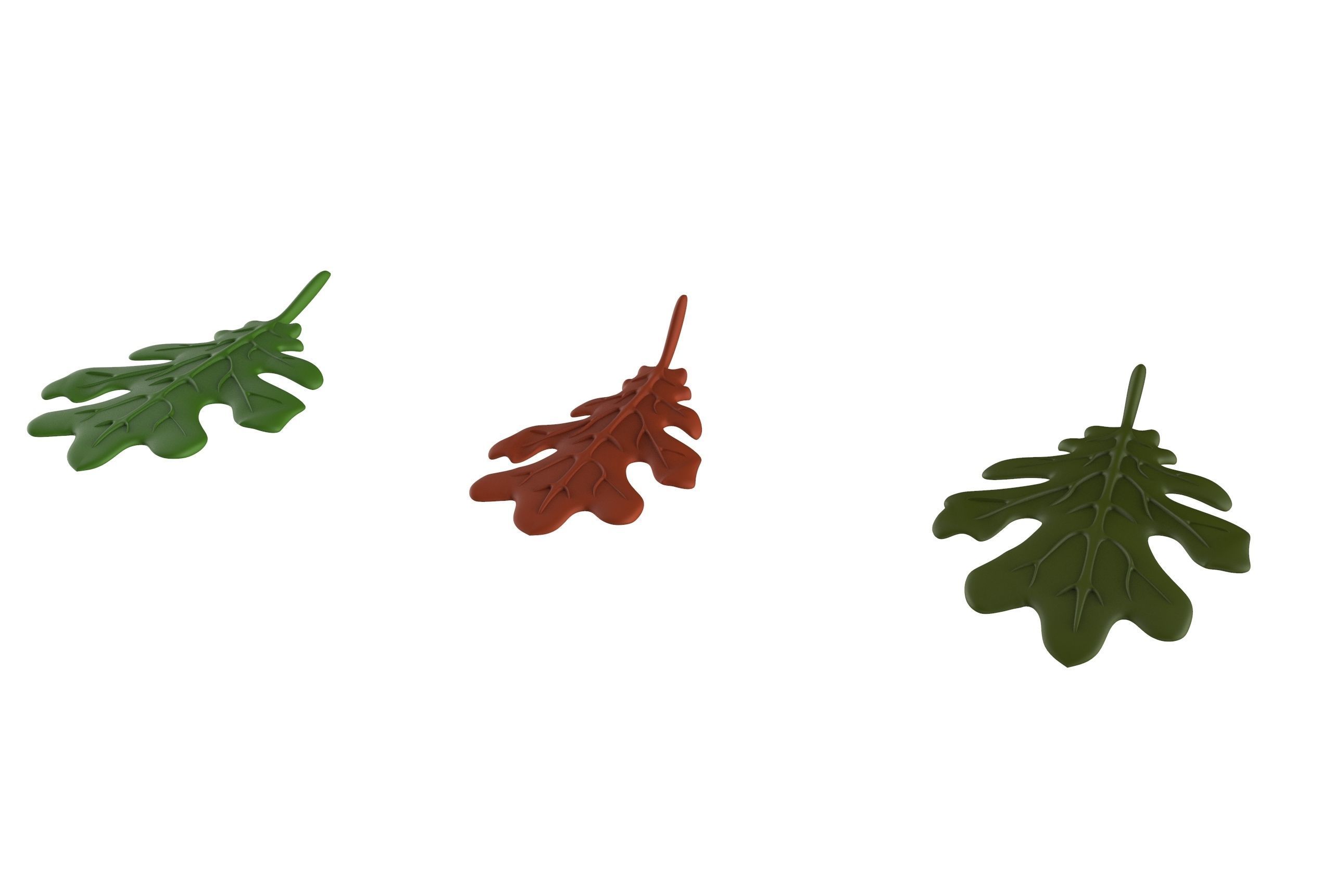 oak leaf 3D model_13