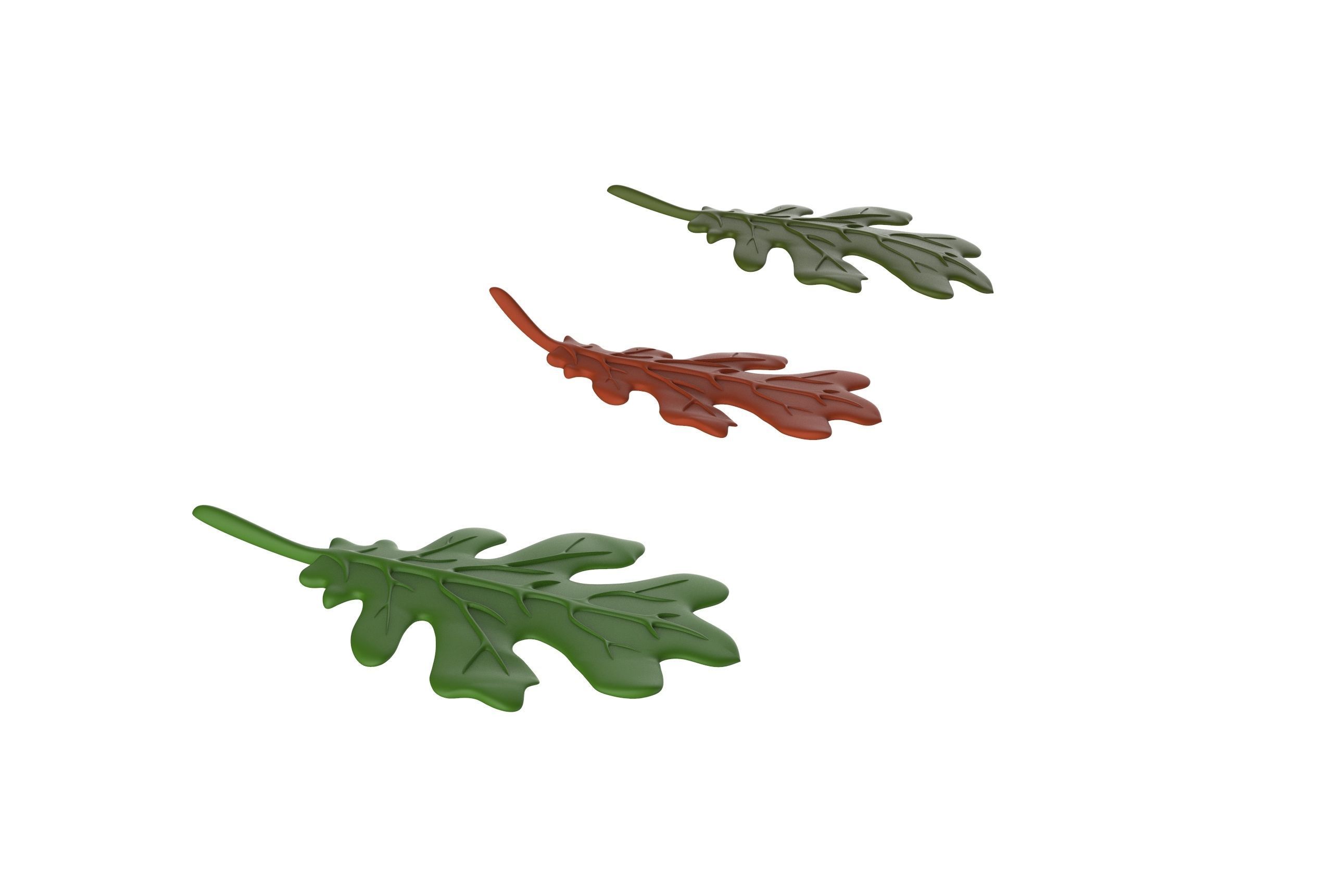 oak leaf 3D model_15