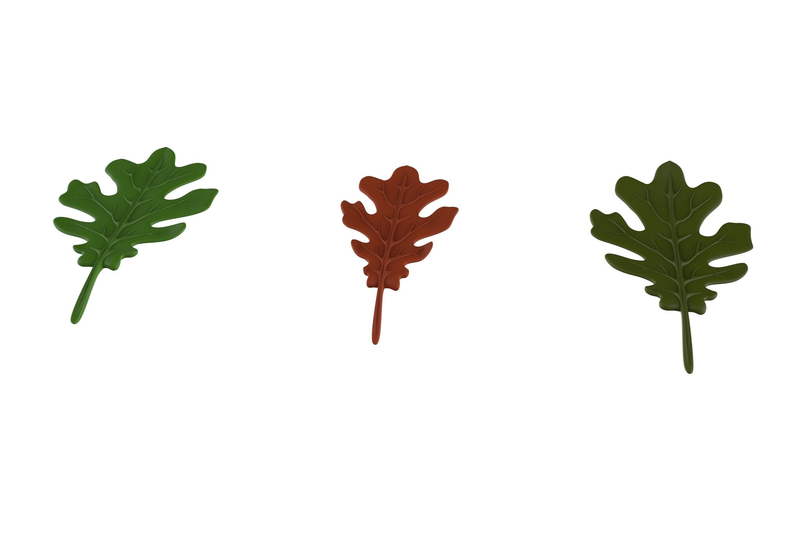 oak leaf 3D model_3