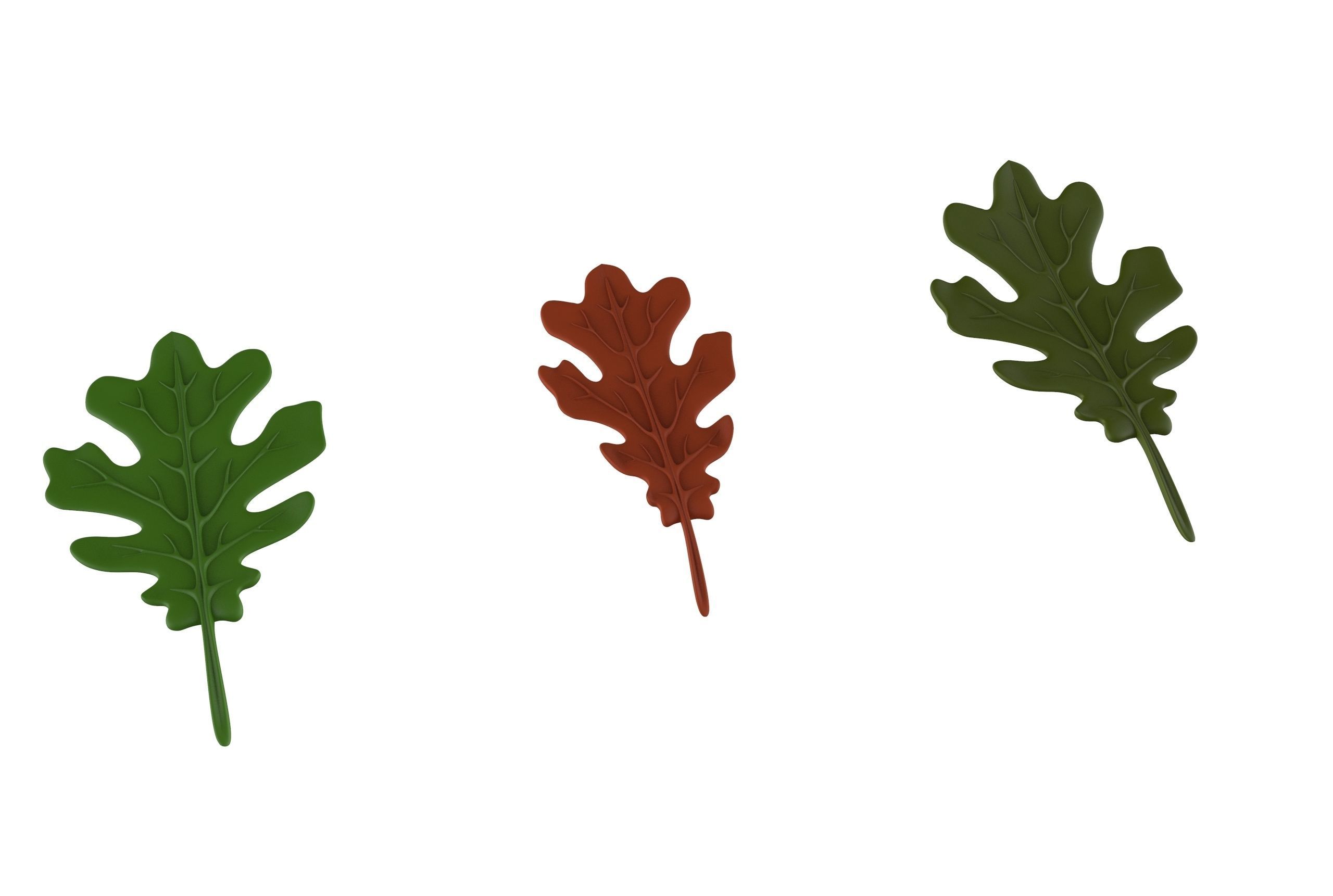 oak leaf 3D model_1