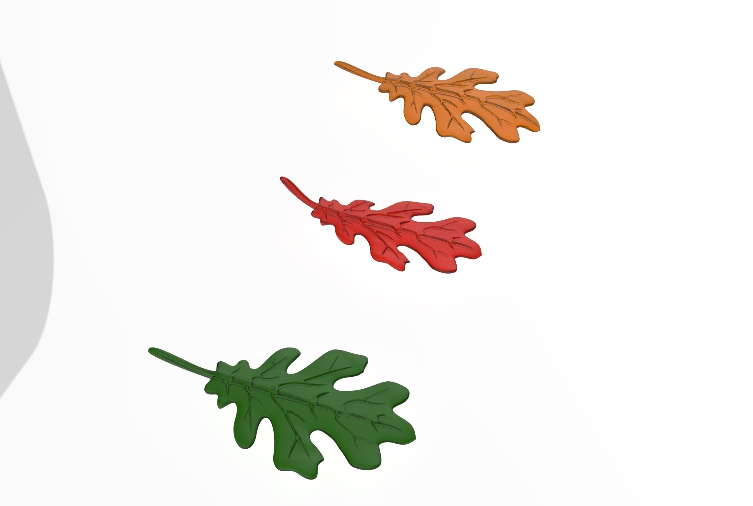 oak leaf 3D model_19
