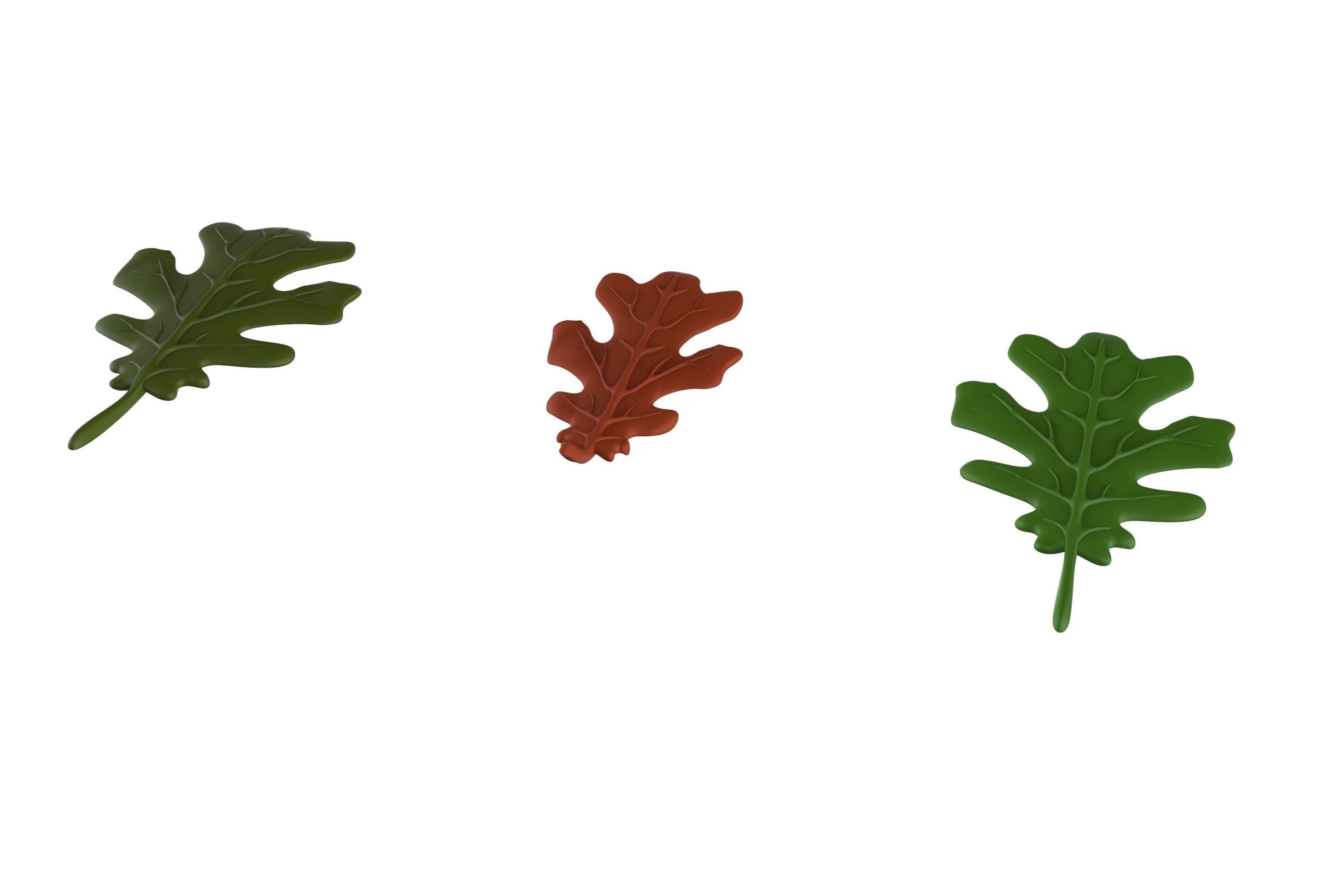oak leaf 3D model_17