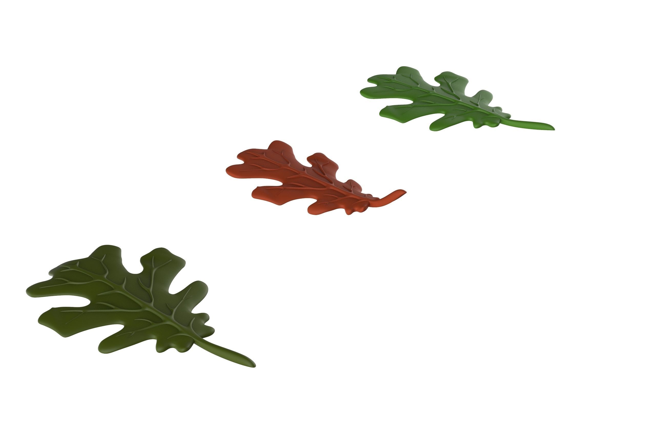 oak leaf 3D model_10